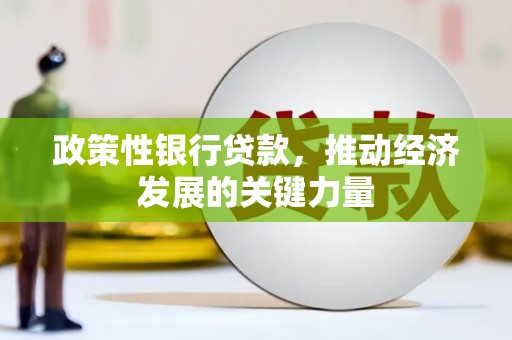 驿城政策性银行贷款，推动经济发展的关键力量