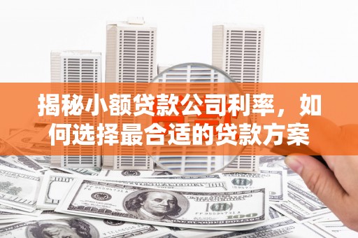 驿城揭秘小额贷款公司利率，如何选择最合适的贷款方案