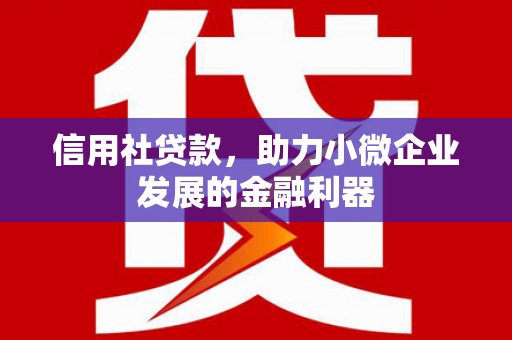 驿城信用社贷款，助力小微企业发展的金融利器