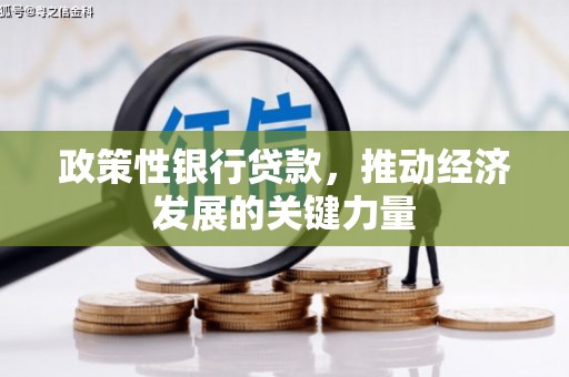 驿城政策性银行贷款，推动经济发展的关键力量
