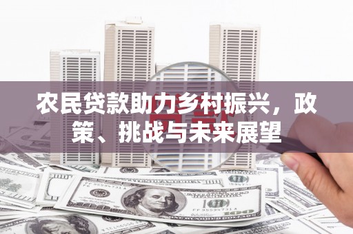 驿城农民贷款助力乡村振兴，政策、挑战与未来展望
