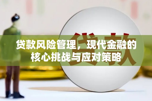 驿城贷款风险管理，现代金融的核心挑战与应对策略