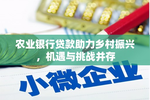 驿城农业银行贷款助力乡村振兴，机遇与挑战并存