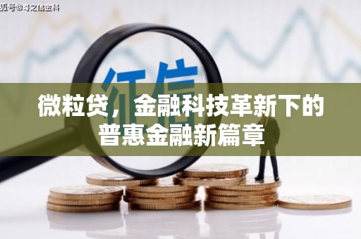 驿城微粒贷，金融科技革新下的普惠金融新篇章