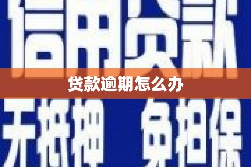 驿城贷款逾期怎么办