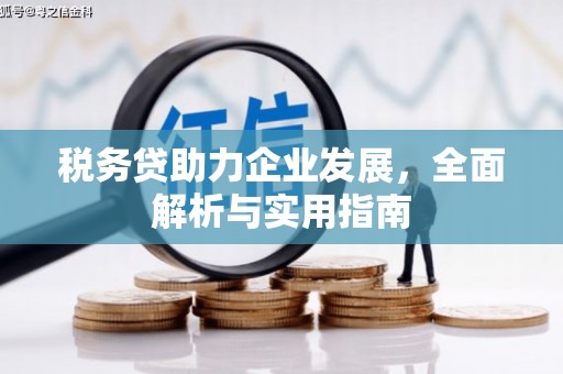 驿城税务贷助力企业发展，全面解析与实用指南