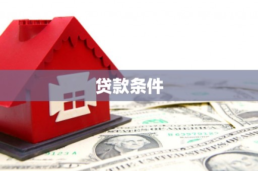 驿城贷款条件