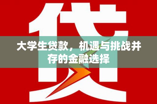 驿城大学生贷款，机遇与挑战并存的金融选择