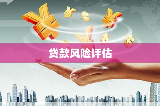 驿城贷款风险评估