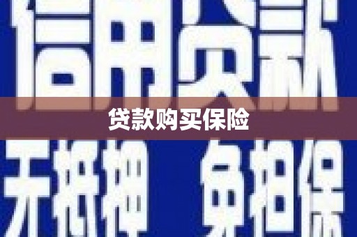 驿城贷款购买保险