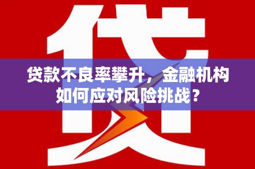 驿城贷款不良率攀升，金融机构如何应对风险挑战？