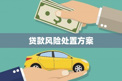 驿城贷款风险处置方案