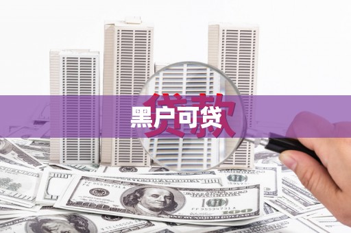 驿城黑户可贷