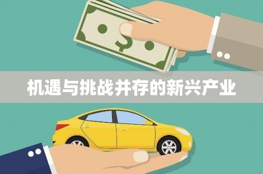 驿城机遇与挑战并存的新兴产业