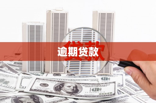 驿城逾期贷款