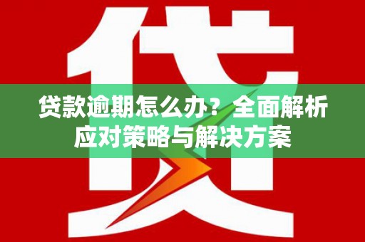 驿城贷款逾期怎么办？全面解析应对策略与解决方案