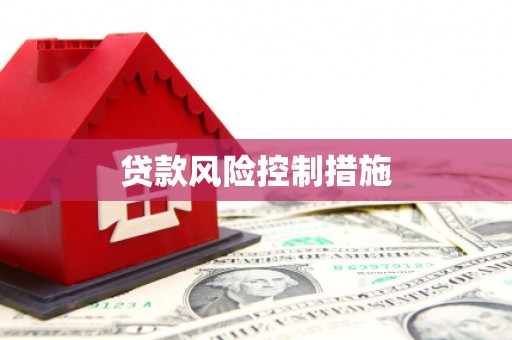 驿城贷款风险控制措施