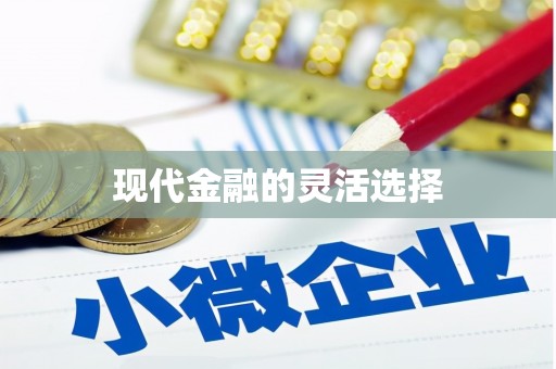 驿城现代金融的灵活选择
