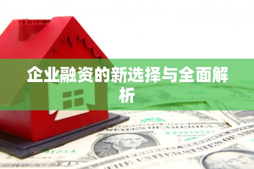 驿城企业融资的新选择与全面解析