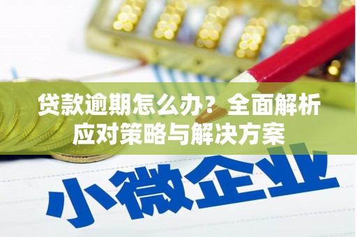 驿城贷款逾期怎么办？全面解析应对策略与解决方案
