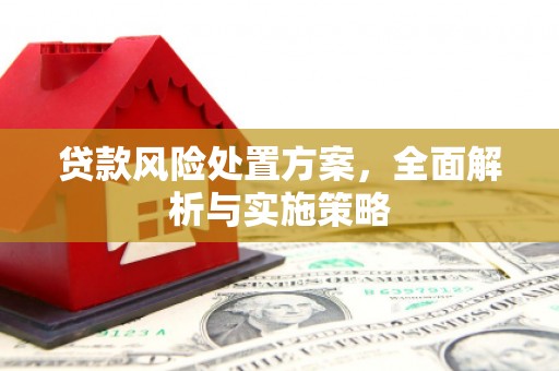 驿城贷款风险处置方案，全面解析与实施策略