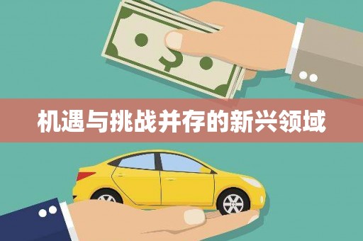 驿城机遇与挑战并存的新兴领域
