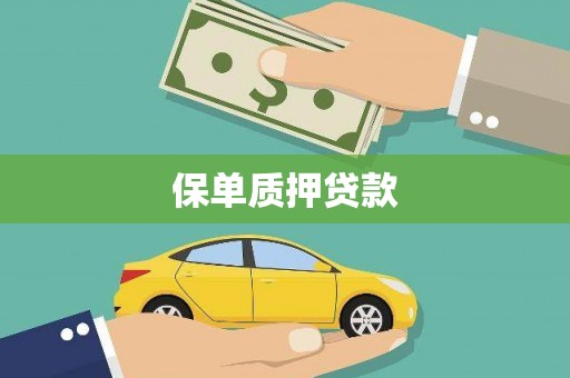 驿城保单质押贷款