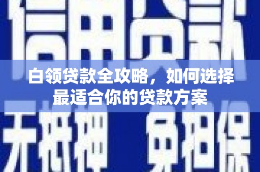 驿城白领贷款全攻略，如何选择最适合你的贷款方案